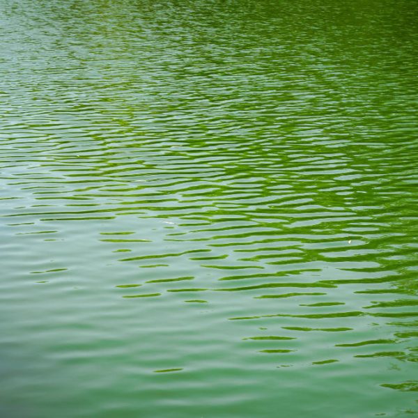 Uzyskanie pozwolenia na budowę zbiornika przeciwpożarowego